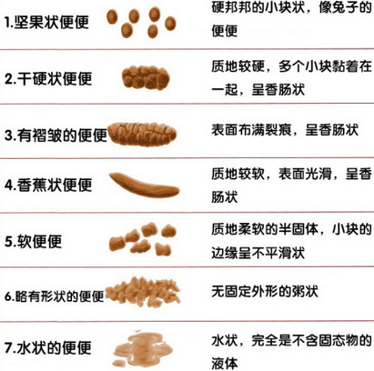 大便漫画.jpg